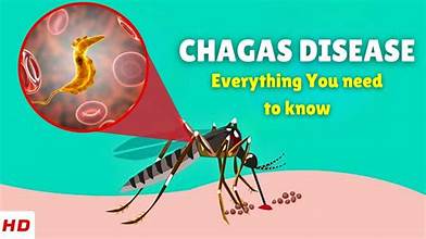 Chagas Disease