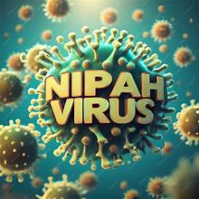 Nipah virus